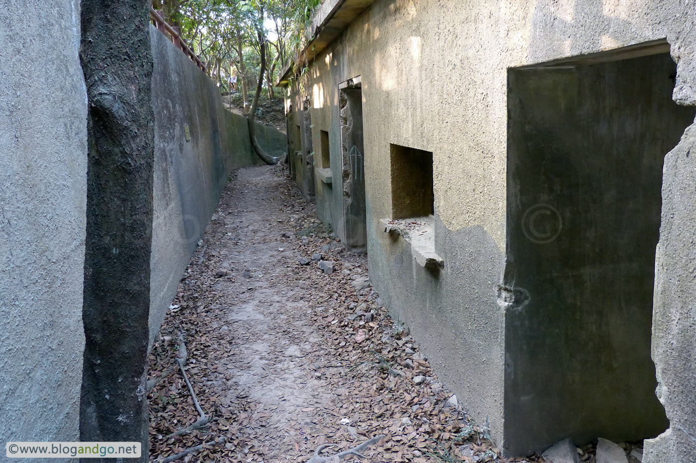 Pinewood Battery - Splinter Proof Shelters